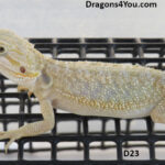 ID23-2