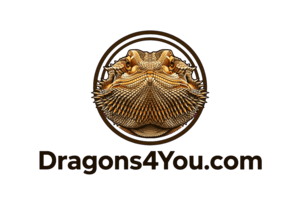 Dragons4You logo